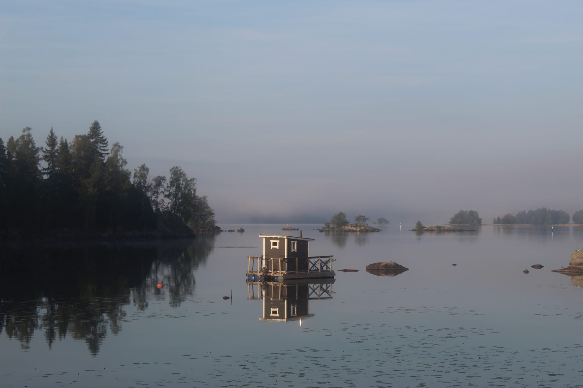 Anne Nygard - Unsplash