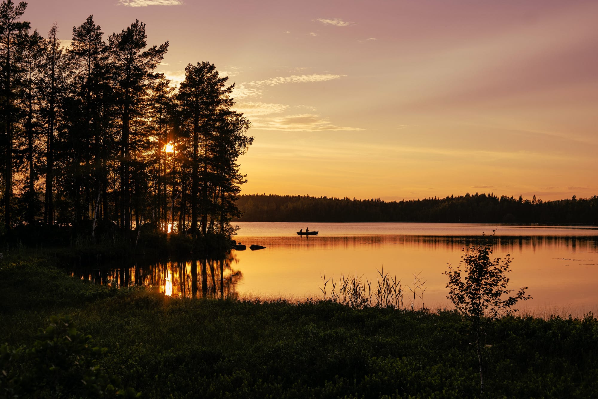 Fredrik Posse - Unsplash