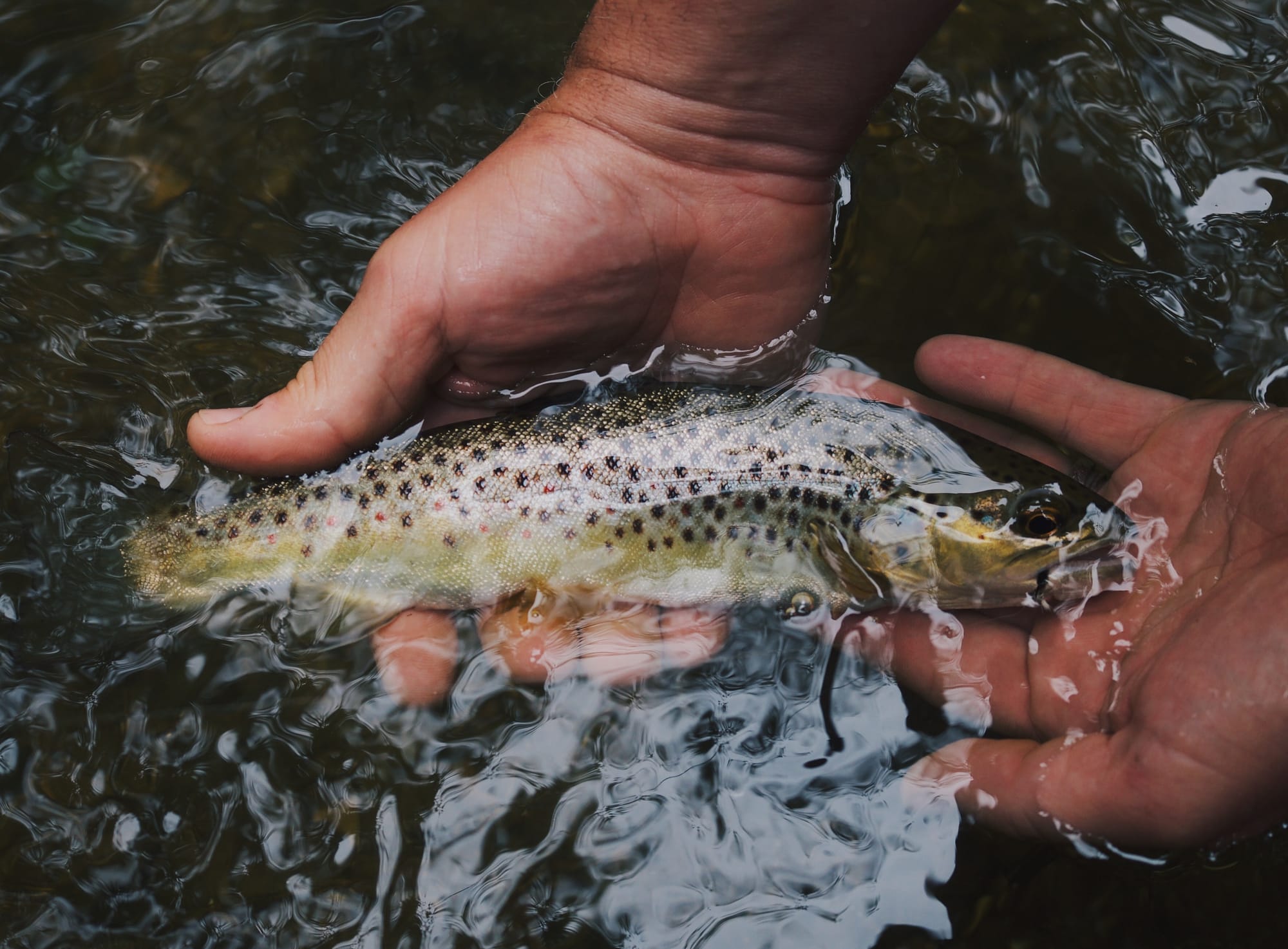 Hunter Brumels - Unsplash