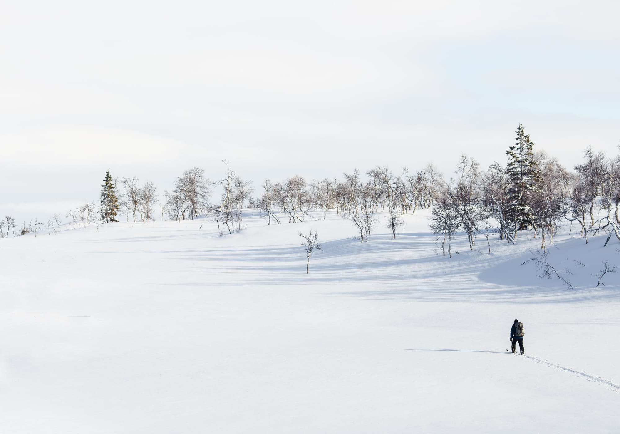 Jon Flobrant - Unsplash