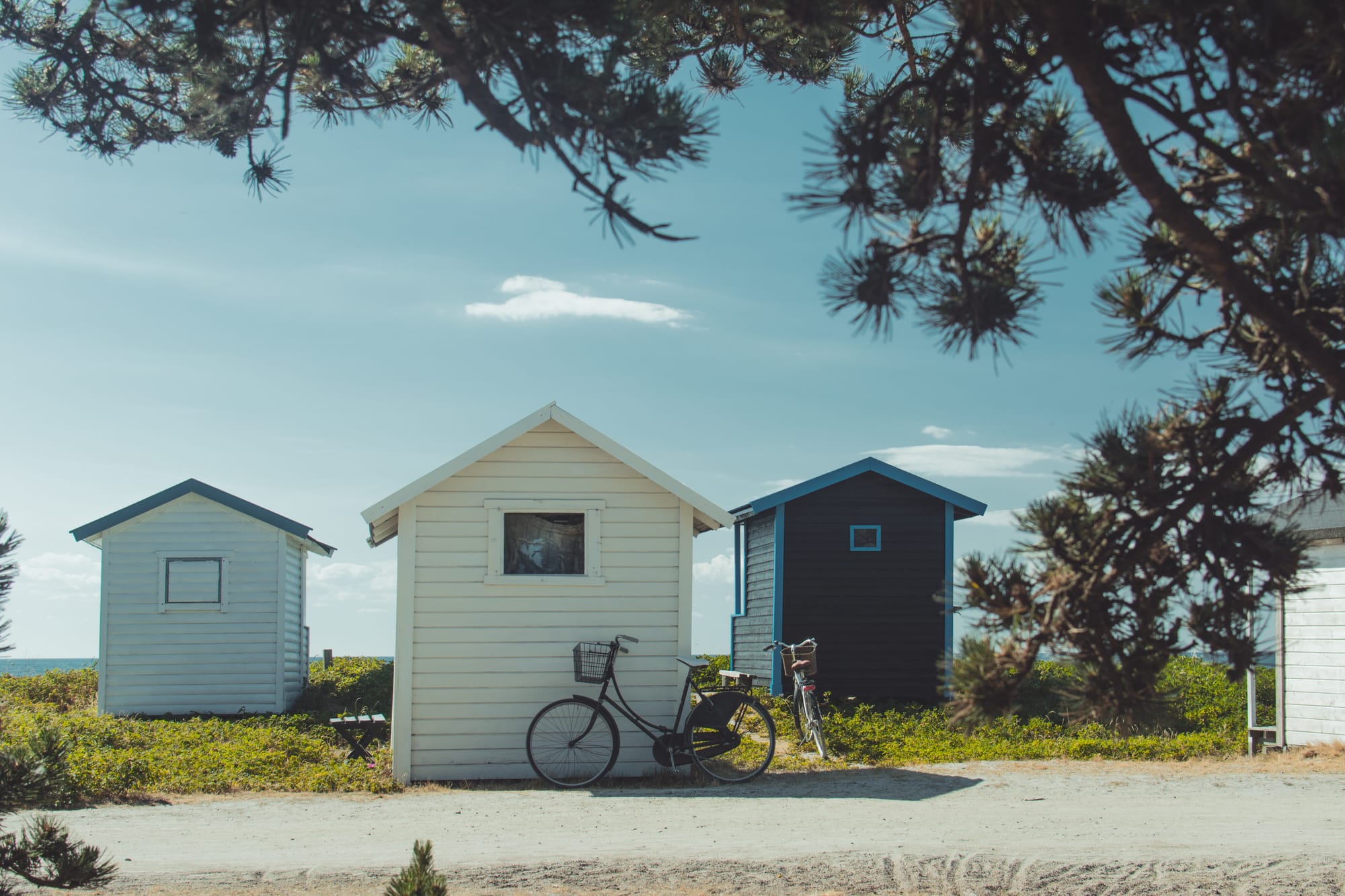 Karl Hedin - Unsplash