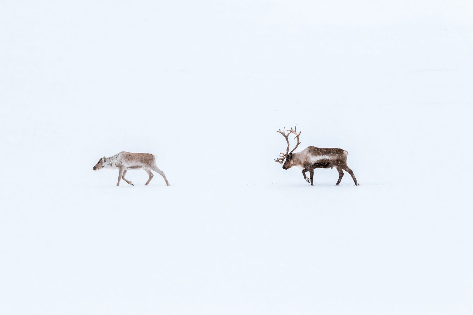 Marcus Lofvenberg - Unsplash