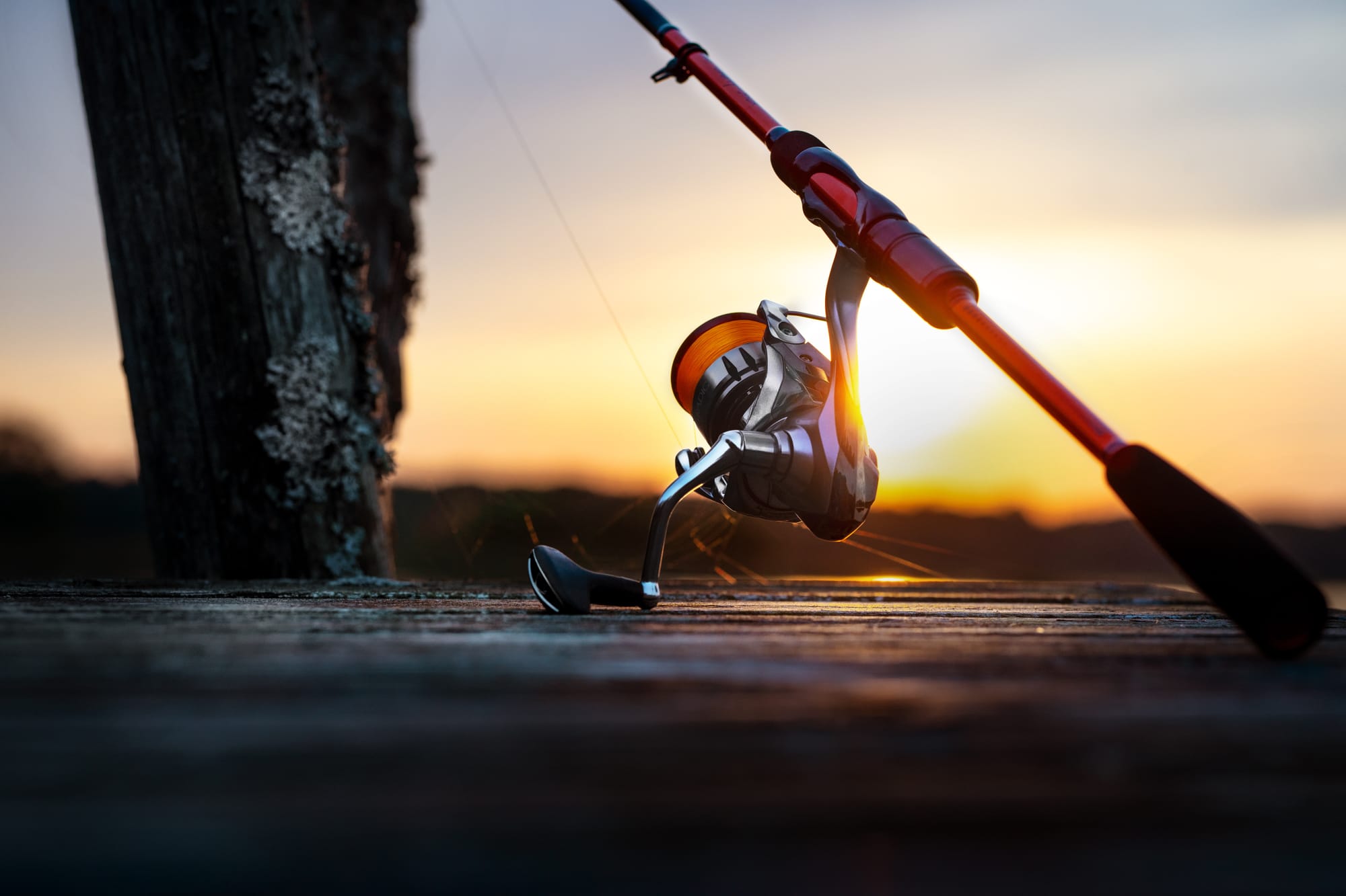 Matthias Marx Biwnk - Unsplash