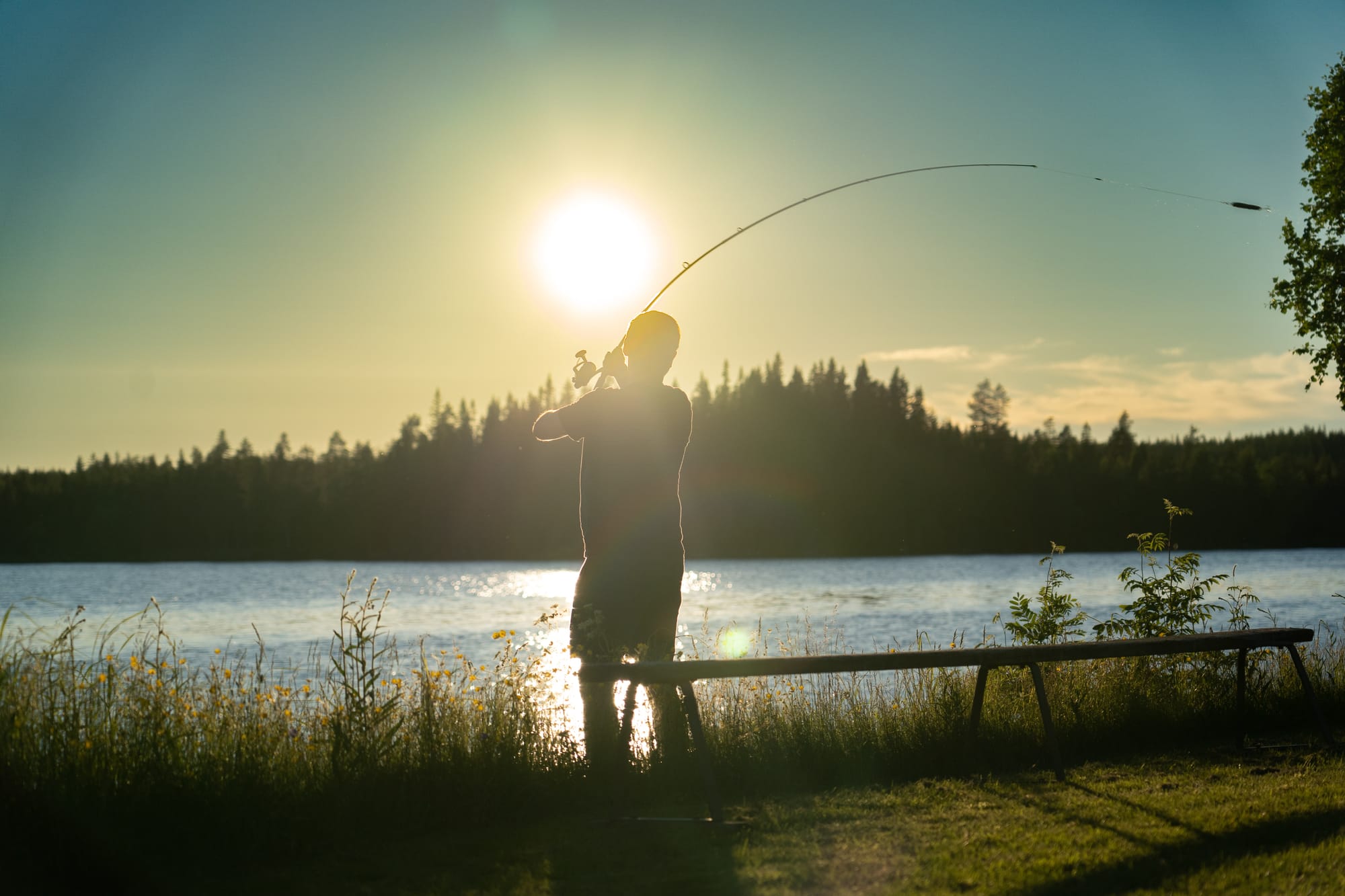 Niclas Lundin - Unsplash