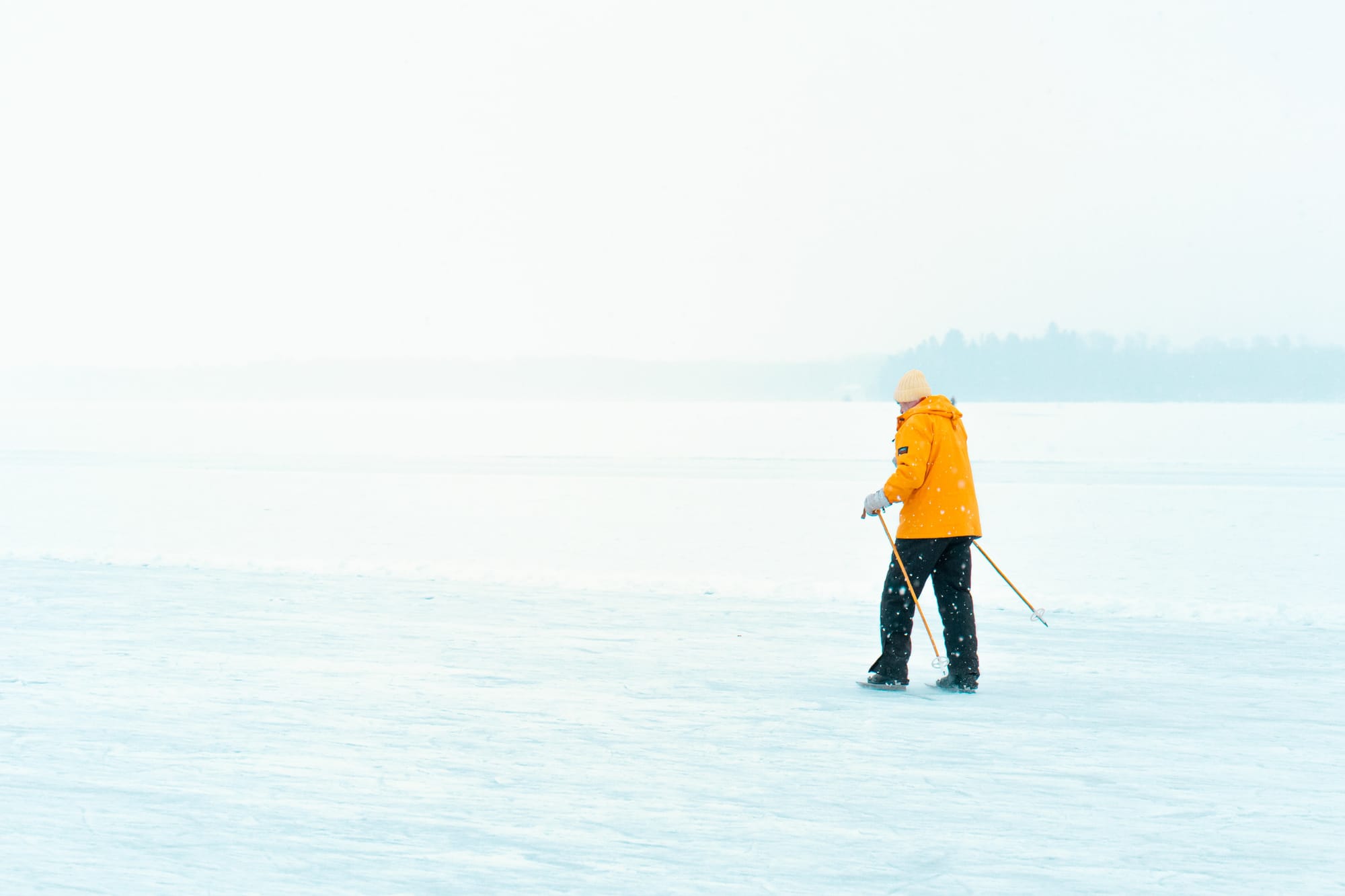 Philip Myrtorp Nfwwljqn - Unsplash