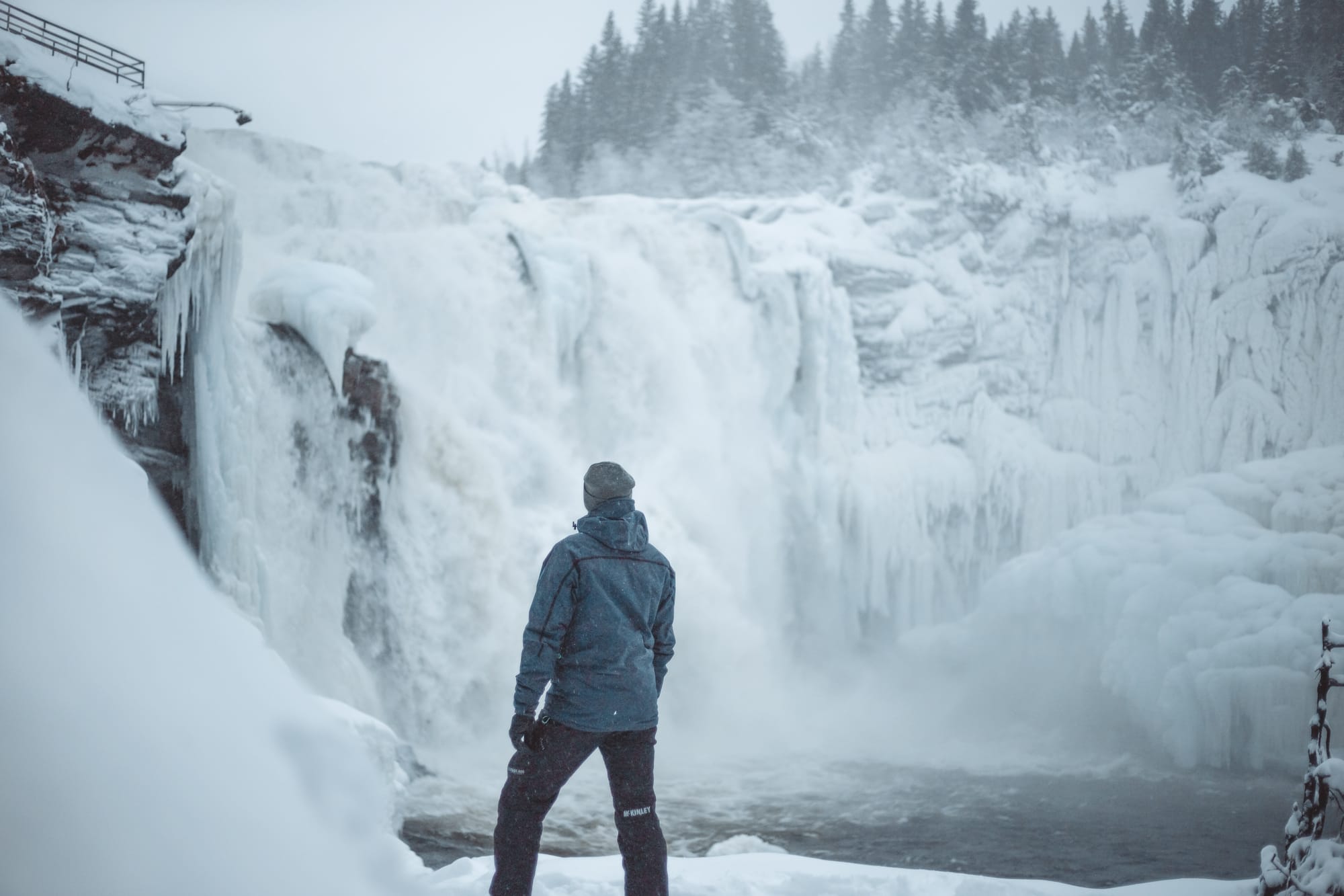 Tamara Schipchinskaya - Unsplash